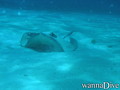 foto de buceo