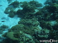 foto de buceo