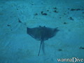foto de buceo