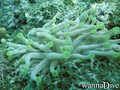 foto de buceo
