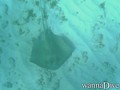 foto de buceo