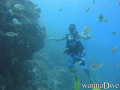 foto de buceo