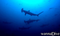 foto de buceo