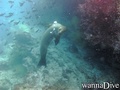 foto de buceo