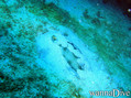 foto de buceo