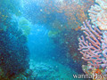 foto de buceo