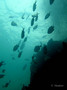 foto de buceo