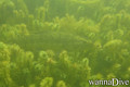foto de buceo