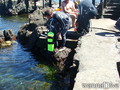 foto de buceo