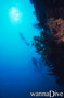 foto de buceo