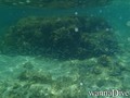 foto de buceo