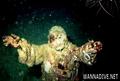 foto de buceo