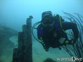 foto de buceo