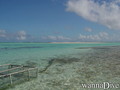 foto de buceo