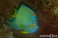 foto de buceo