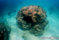 foto de buceo