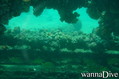 foto de buceo
