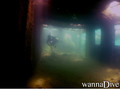 foto de buceo